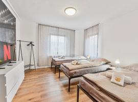 DZ01 Große Wohnung für Monteure und Teams，位于迪琴根的酒店
