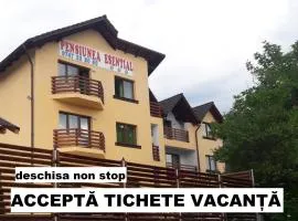 Pensiunea Esential