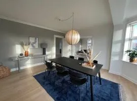 Modern Scandinavian Apartment in Viborg Centre