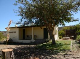 The Country Garden，位于莱迪史密斯的酒店