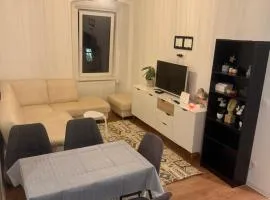 Newly adapted 3-room apartment