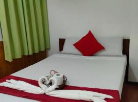 Axis Pension Hotel，位于麦克坦的酒店