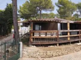 A l'ombre des Pins du Castellet