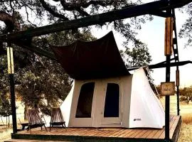 Gorgeous Bell Tent for a Romantic Getaway from Sacramento