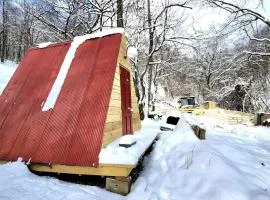 Remote Mountain A-Frame with BBQ Perfect for Nature Lovers in West Virginia