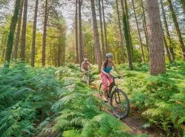 The Sherwood Hideaway Lodges