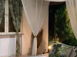 Jungle - house of wellness