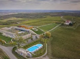 Domeniul Vila Dobrusa - Crama AVINCIS