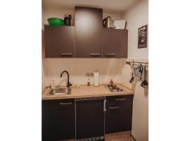 Pura Vida - holiday apartment，位于费斯恩的酒店