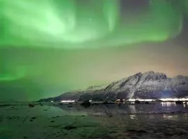 6 person holiday home in Gratangen