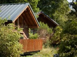 Deerpark Cabins, Cornwall - Forest Holidays