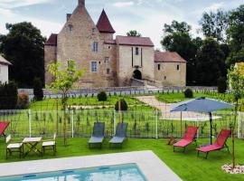 Château de la Mothe de Vicq - Allier, à proximité de Vichy，位于Vicq的酒店