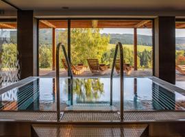 Amenity Hotel & Resort Orlické hory，位于德尔内夫奥里克的酒店