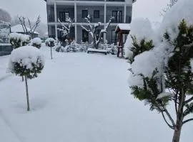 Casa Joe