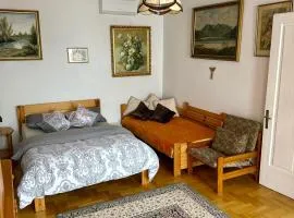 Perfect Remote-Workplace in Sunny Apartment