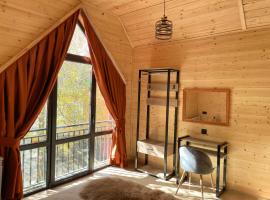 Eco Chalet Tsaghkadzor，位于萨克德佐尔镇的酒店