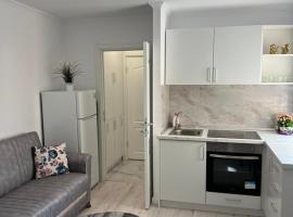 Apartament Ultracentral，位于勒德乌齐的酒店