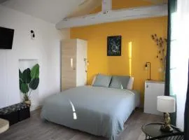 Superbe Studio jungle cœur du centre-ville