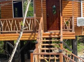 Howler Jungle Cabanas Belize，位于伯利兹城的酒店