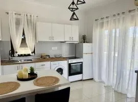 Papas house 2 near Faliraki kalithies