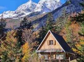 Cozy Private Cabin in the heart of Triglav National Park