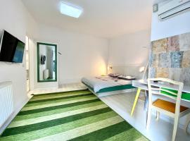 Pensiunea Damir Arad，位于阿拉德的宠物友好酒店