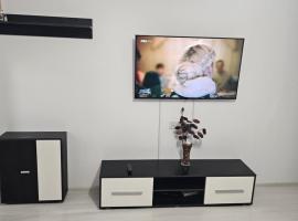 Garsoniera Ioana，位于Turnu Măgurele的带停车场的酒店