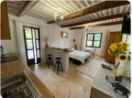 Studio Mas de Papé Verquieres Saint Rémy de Provence