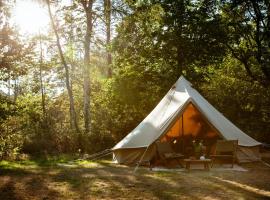 Eco Farm Camping 'de Waeldernis'，位于德瓦尔的豪华帐篷