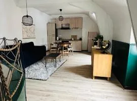 Appartement Centre ville Le blanc