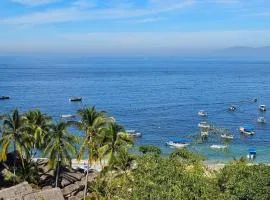 Casa Mismaloya Selva