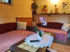 Útulný Apartmán v Centre Detvy，位于代特瓦的酒店