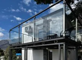 House in the pines