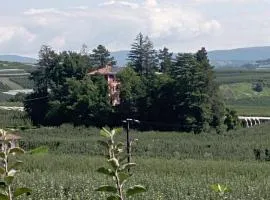 Villa Rosa since 1914, Brenta Dolomite
