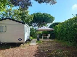 Mobil Home bord de mer CAMPING LES TAMARIS