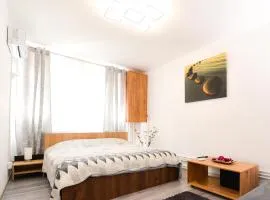 Central Grey Studio Hateg