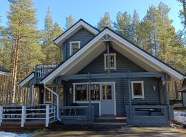 Villa Särkkä，位于卡拉约基的酒店