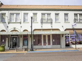 OYO Historic Cameron Hotel Brownsville I-69E，位于布朗斯维尔的酒店