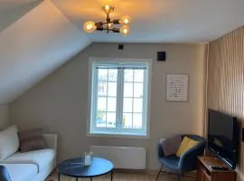 Nice apartment close to the sea with parking and garden