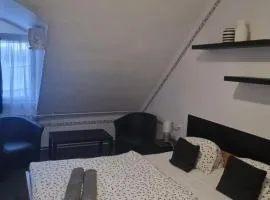 罗曼蒂克艾滕姆酒店 - 潘兹奥