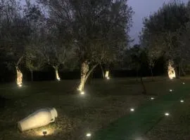 Tenuta degli Uliveti