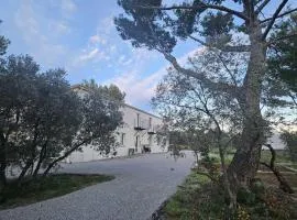 La Cayon Au coeur des oliviers en Provence