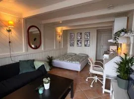 Local small apartment near the beach