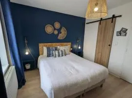 Chambre cosy à Briare, centre-ville, idéale pour cyclistes - FR-1-590-571