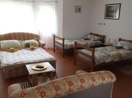 Apartmani Tea i Toni，位于Gradište的酒店