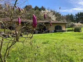 Villa Vinea Prisca B&B