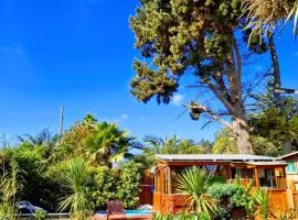 PINARES DEL MAR Suite con DESAYUNO SOLO PARA DOS Ó Cabañas familiares -Pet friendly