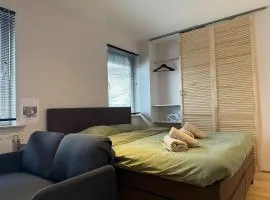 The Cozy Nest Stylish and Serene City Studio