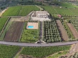 Feudo Vagliasindi -Wine Experience-