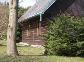 Chata Dvorečná，位于Loučovice的木屋